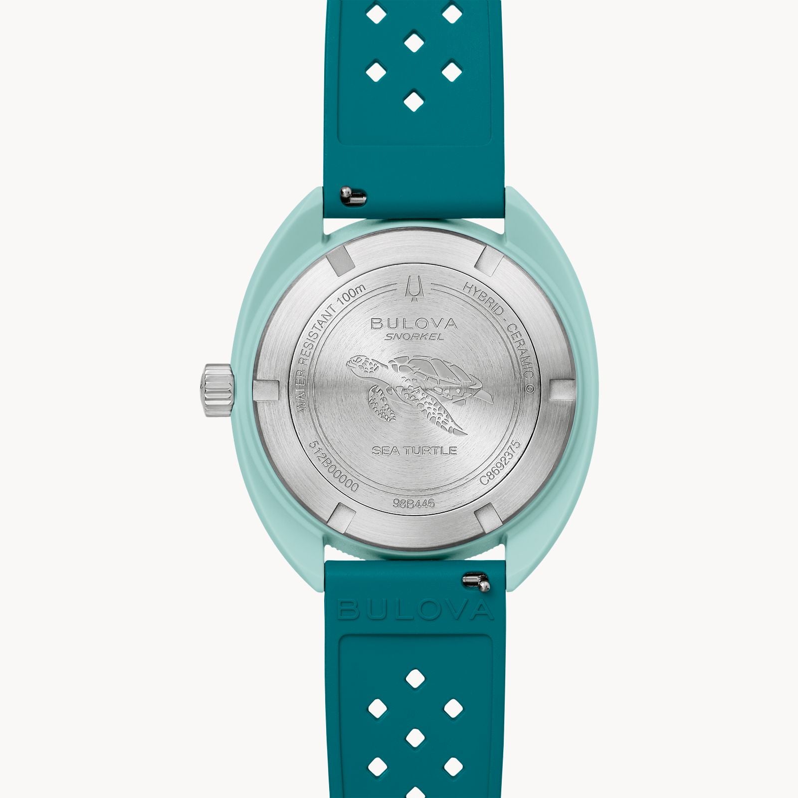 Snorkel Sea Turtle – Trifecta