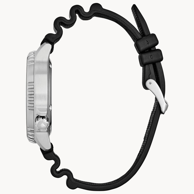 Promaster Dive