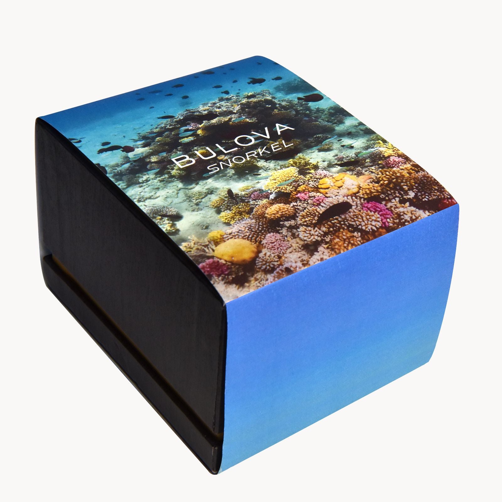 ぶどう　100DaysSavingChallengeBOX Snorkel Sea Turtle – Trifecta